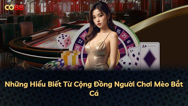 Những Hiểu Biết Từ Cộng Đồng Người Chơi Mèo Bắt Cá